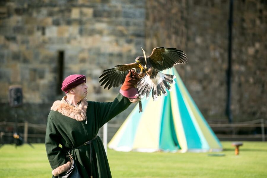 Alnwick: Alnwick Castle Ticket - Artisans Courtyard Keeps Children Moving