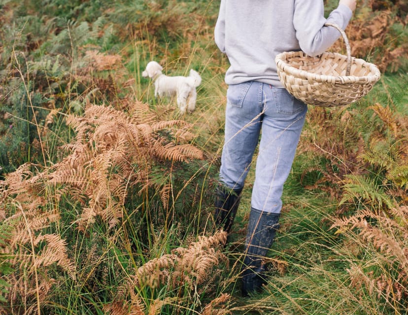 Beginner Foraging Walk: Wild food walking tour & tasters - Tasting nettles and other wild ingredients