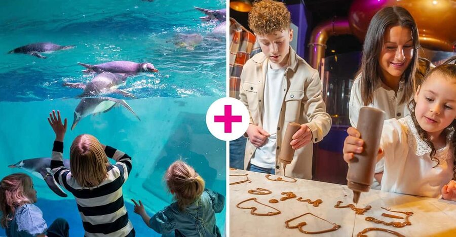 Birmingham: Cadbury World & SEA LIFE Birmingham - Walking through the 360° ocean tunnel