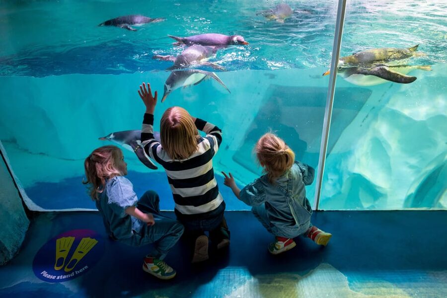 Birmingham: Cadbury World + SEA LIFE + LEGOLAND Discovery - FAQ