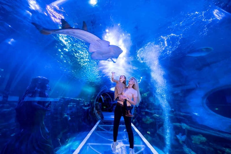 Birmingham: National Sea Life Centre Entrance Ticket - What the Birmingham SEA LIFE ticket gives you