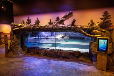 National Sea Life Centre Entrance Ticket