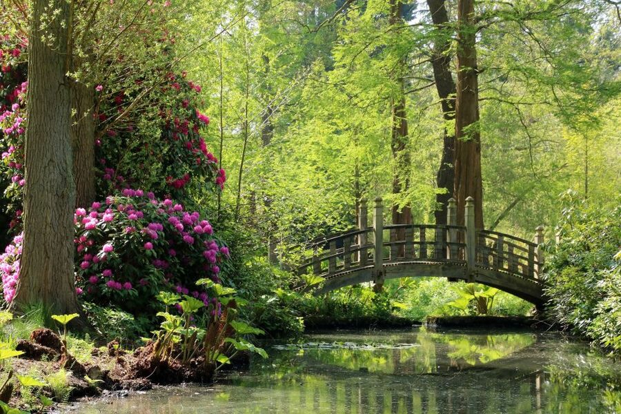 Birmingham: Winterbourne House and Garden Admission Ticket - Why Winterbourne feels different from a city attraction