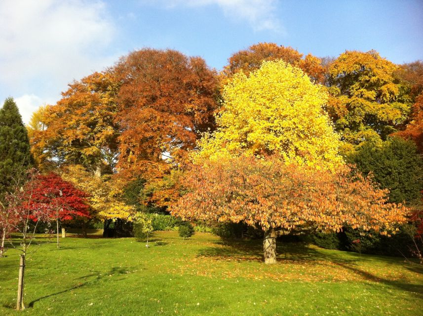 Birmingham: Winterbourne House and Garden Admission Ticket - Walk the seven-acre gardens slowly