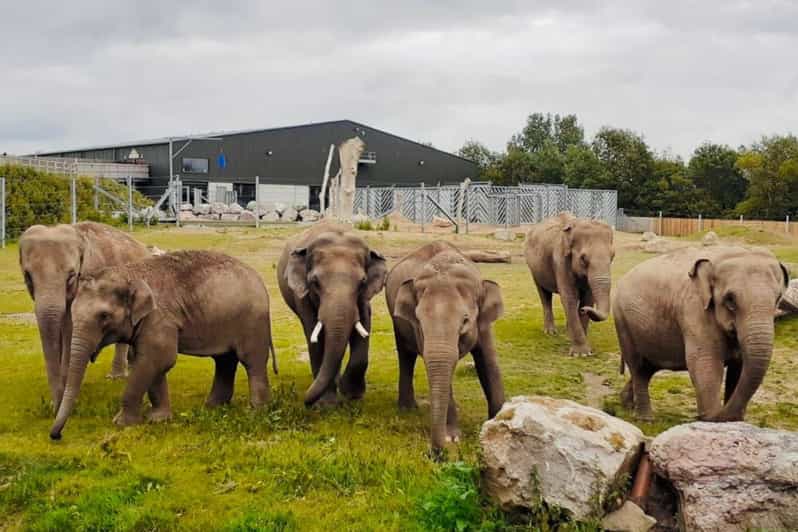 Blackpool: Zoo Admission Ticket - Why Blackpool Zoo Works So Well for a Full Day