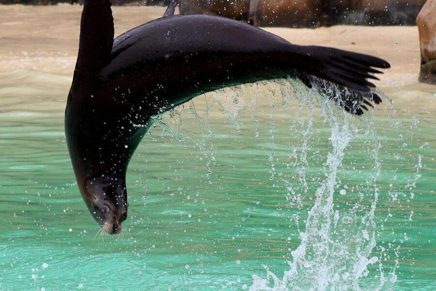 Blackpool: Zoo Admission Ticket - A Practical Route for Your Day