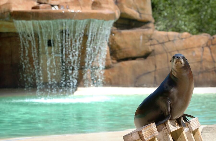 Blackpool: Zoo Admission Ticket - Sea Lions and Talks Give the Day a Rhythm