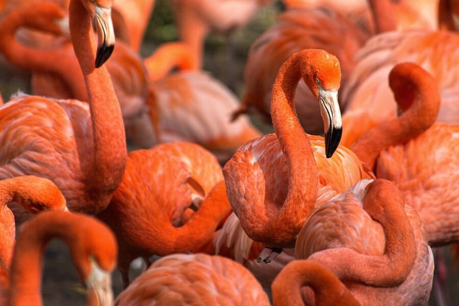 Blackpool: Zoo Admission Ticket - Food Costs Make a Picnic a Smart Choice