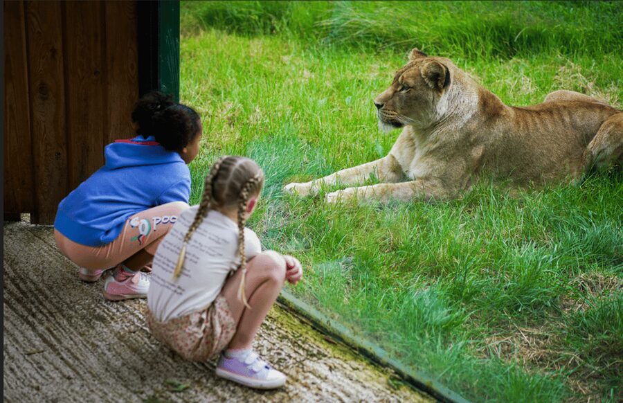 Blackpool: Zoo Admission Ticket - Who Will Get the Most From Blackpool Zoo?