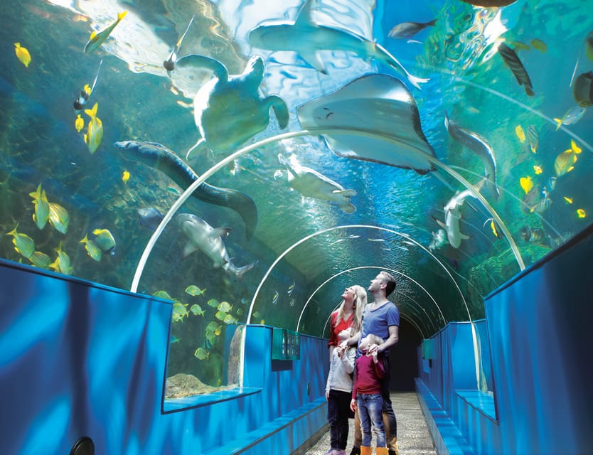 Bournemouth Oceanarium Ticket - What to expect on a busy day