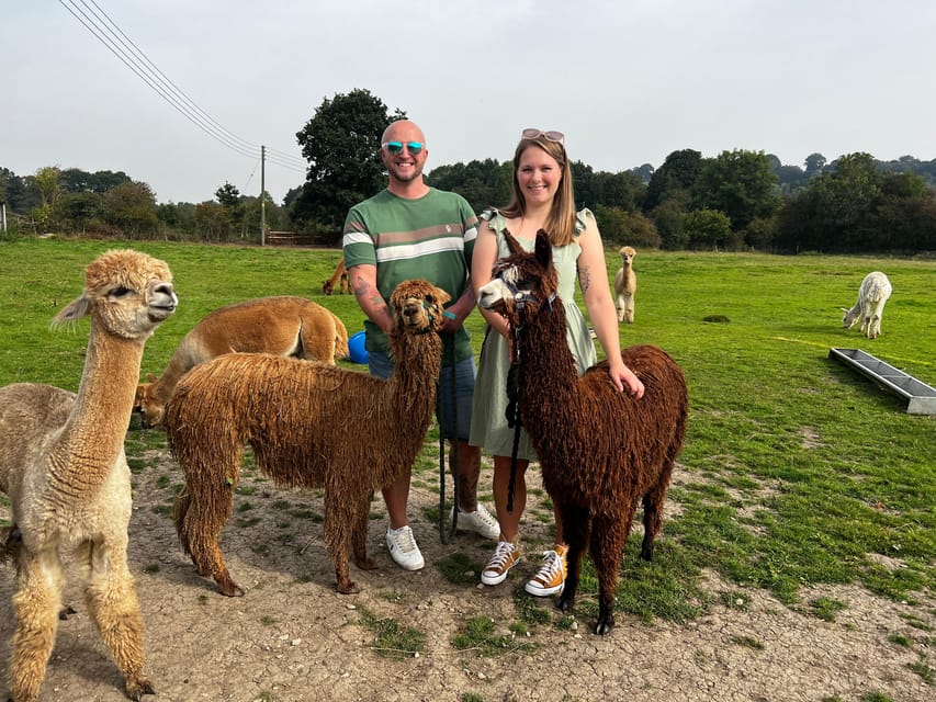 Brackenfield: Alpaca Trek - Clothing, access, and practical limits