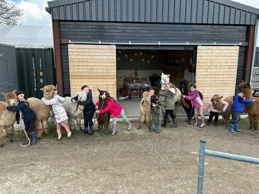 Brackenfield: Alpaca Trek - Who will enjoy Brackenfield most?