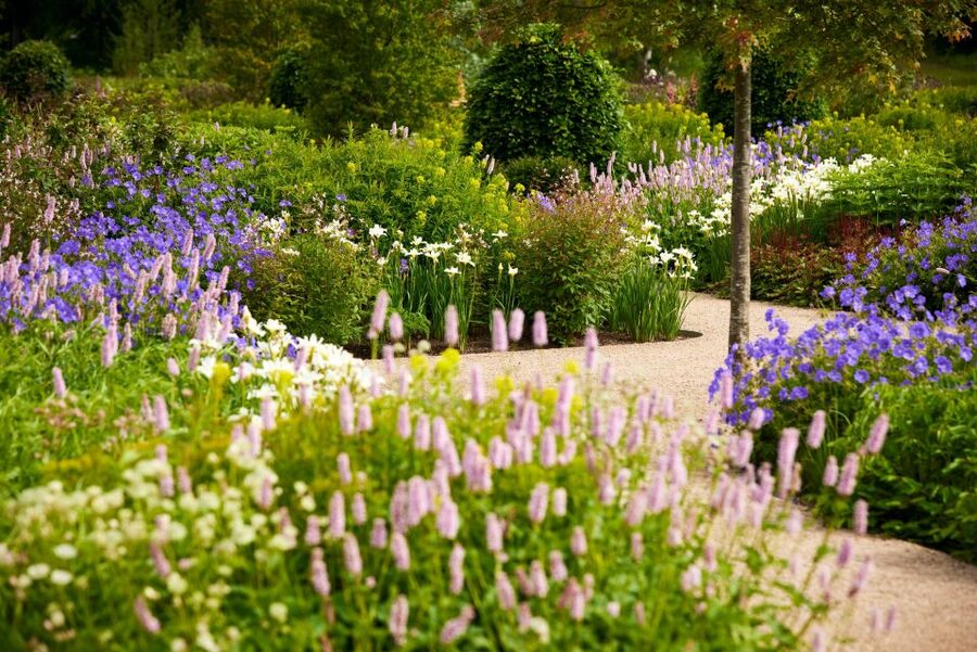 Bridgewater: Royal Horticultural Society Garden Ticket - Paradise Garden brings two planting traditions together