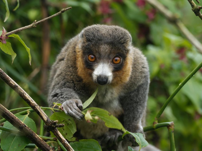 Bristol: Bristol Zoo Project Entry Ticket - What Bristol Zoo Project is really like