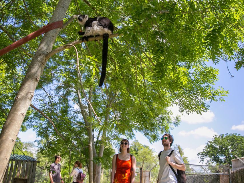 Bristol: Bristol Zoo Project Entry Ticket - Food, picnics, and practical breaks