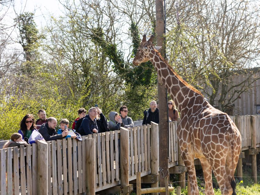 Bristol: Bristol Zoo Project Entry Ticket - Starting near Junction 17 of the M5