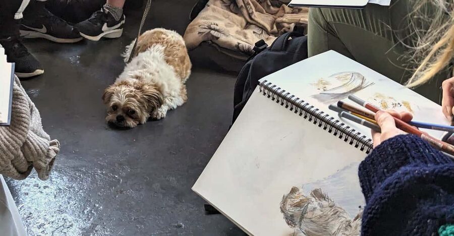 Bristol: Dog Life Drawing led by local Artist Cai Burton - What Cai Burton’s class is really like