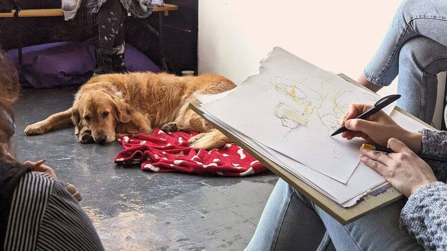 Bristol: Dog Life Drawing led by local Artist Cai Burton - Music, drinks, and the Stoke’s Croft mood