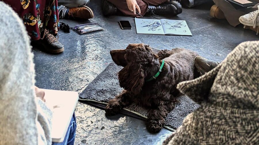 Bristol: Dog Life Drawing led by local Artist Cai Burton - What you receive for $21
