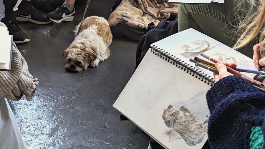 Bristol: Dog Life Drawing led by local Artist Cai Burton - Who will enjoy this most
