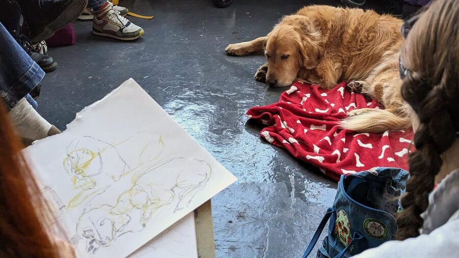 Bristol: Dog Life Drawing led by local Artist Cai Burton - Four-legged models with very different personalities