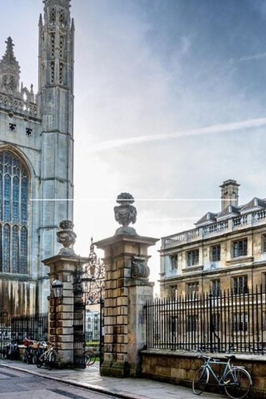Cambridge: Sightseeing Walking Tour with a Local Guide - Gardens, streets, and quieter corners