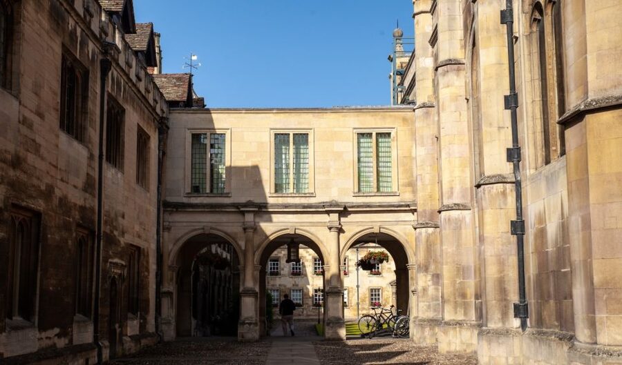 Cambridge: University Alumni Tour with Kings College Option - The quirky details that keep the walk lively