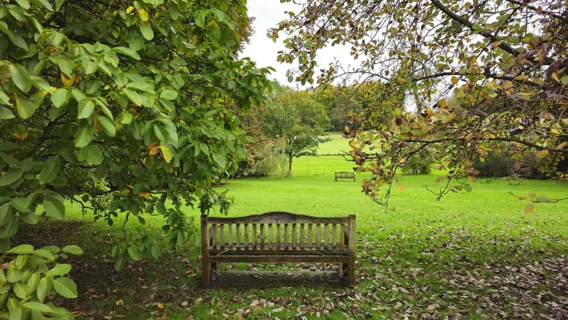 Chawton: Village tour to discover its ties to Jane Austen - Why Chawton matters to Jane Austen fans