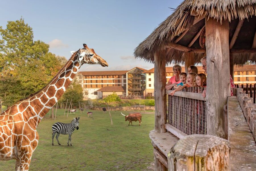 Chessington World of Adventures Resort: Entrance Ticket - Who will enjoy Chessington most