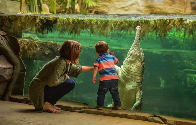 Chester: Chester Zoo Entry Ticket - Chester Zoo is a full day, not a two-hour stop