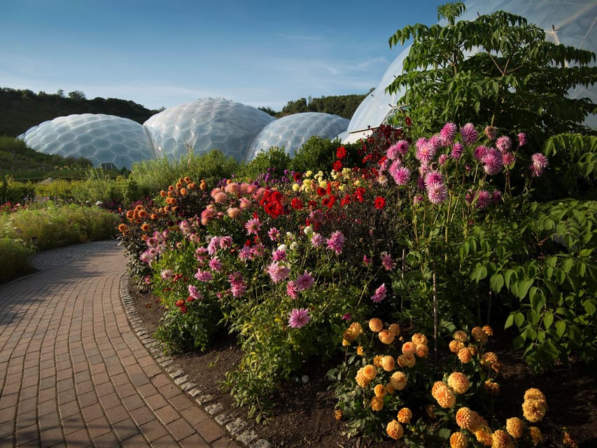 Cornwall: Eden Project Entry Ticket - The Mediterranean Biome and its quieter pace
