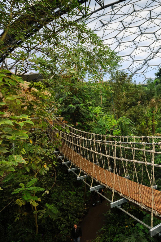 Cornwall: Eden Project Entry Ticket - Outdoor gardens, art, and changing exhibits