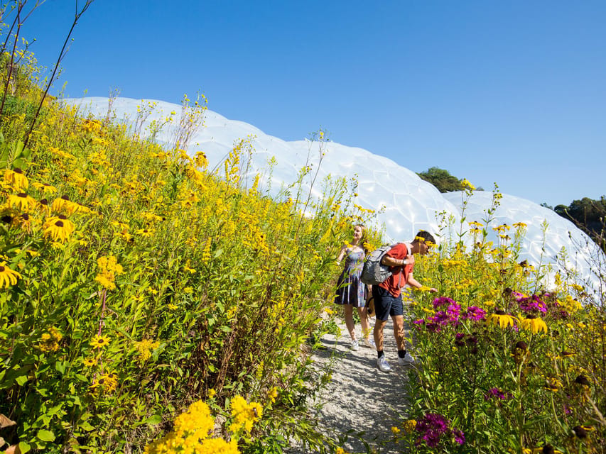 Cornwall: Eden Project Entry Ticket - A full day requires a little planning