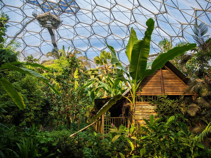 Cornwall: Eden Project Entry Ticket - Food, water, toilets, and the useful details