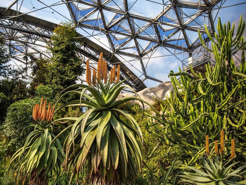 Cornwall: Eden Project Entry Ticket - Who will enjoy Eden Project most