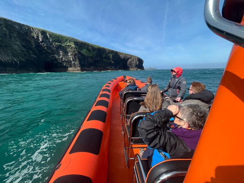 Cornwall: Guided Seal Safari by Boat - Dolphins, seabirds, and the useful backup plan