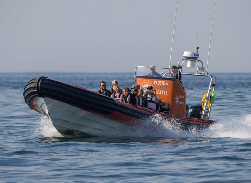 Cornwall: Guided Seal Safari by Boat - What the guide adds to the hour