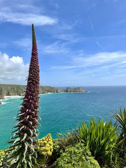 Cornwall: Private Guided Tour - Included extras and what you still need to budget