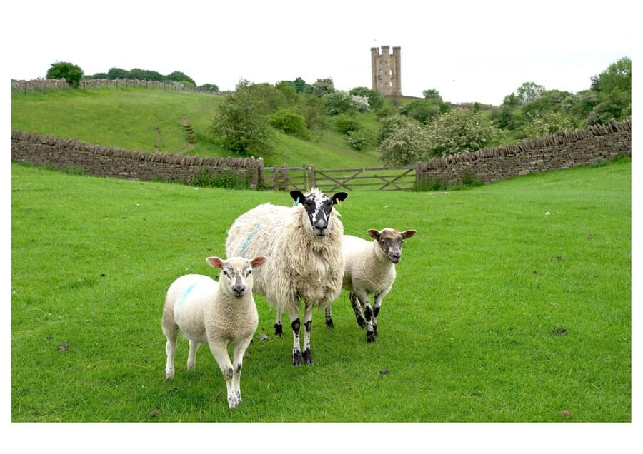 Cotswolds Villages & Countryside: Private Luxury Tour - Key points to know before you book