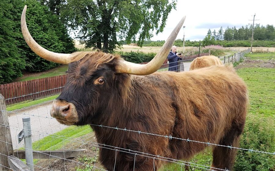Craigs Luxury Speyside Private Whisky Tour - Who should book this day?