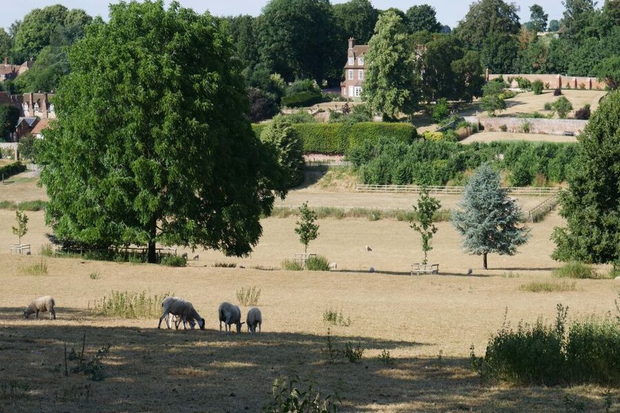 Day-Tour of the Midsomer Murders Locations - How the episode clips improve the visit