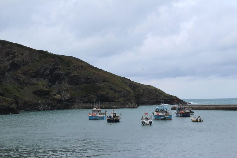 Doc Martin Tour - Key points to know before you book