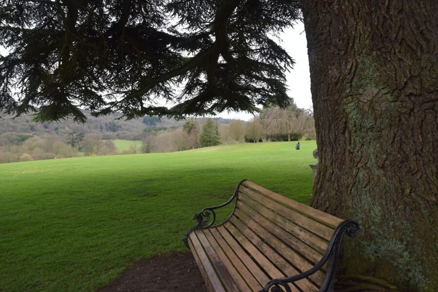 Downton Abbey and Village Small Group Tour from London - Timing, comfort, and practical preparation