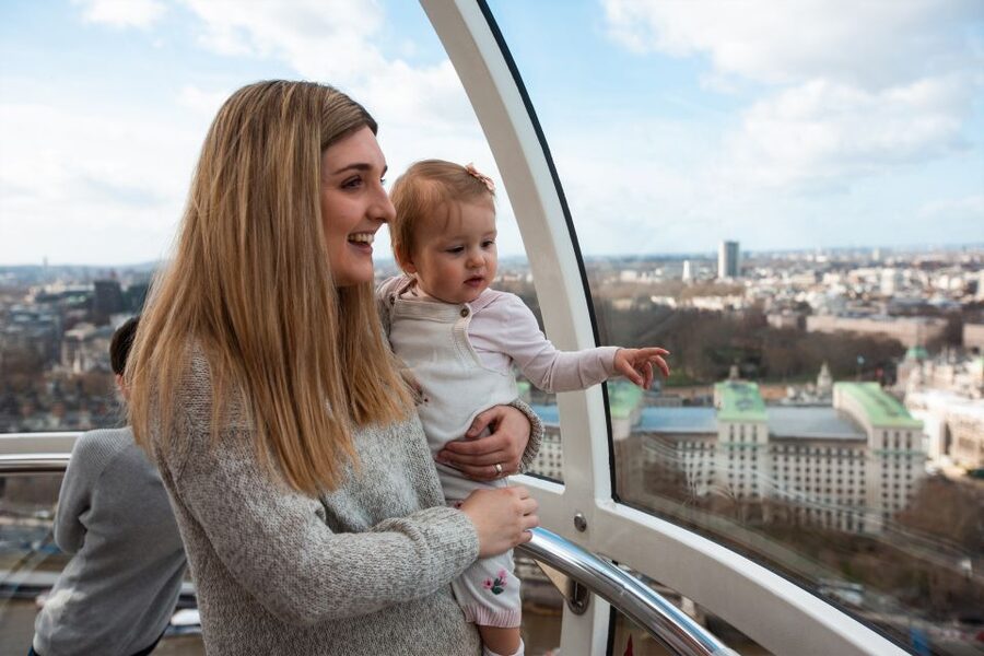 DreamWorks Shrek's Adventure and London Eye: Combo Ticket - Accessibility and family rules