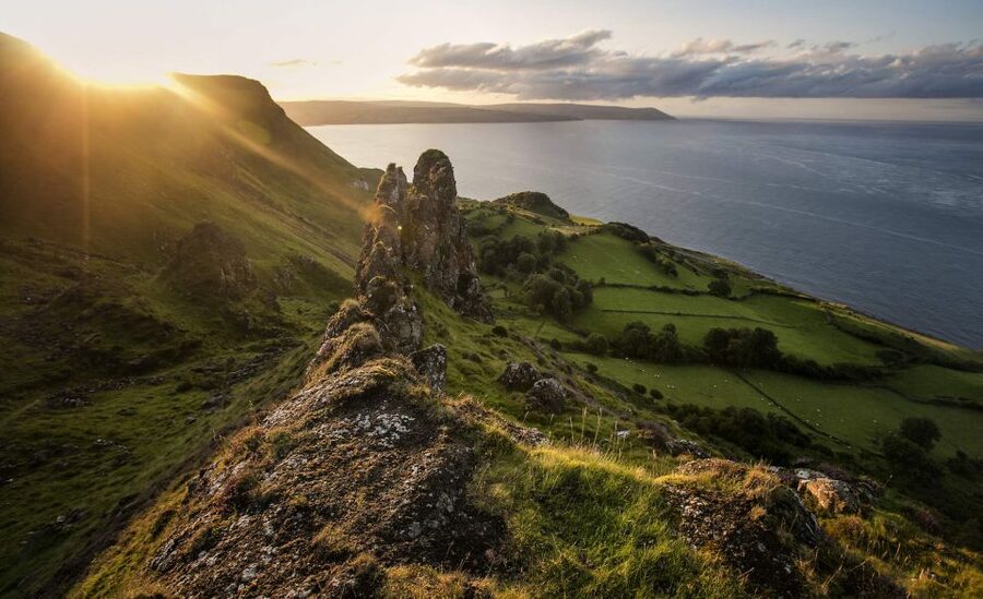 Dublin: Giant's Causeway, Dark Hedges & Titanic Guided Tour - The Dark Hedges and the limits of a photo stop