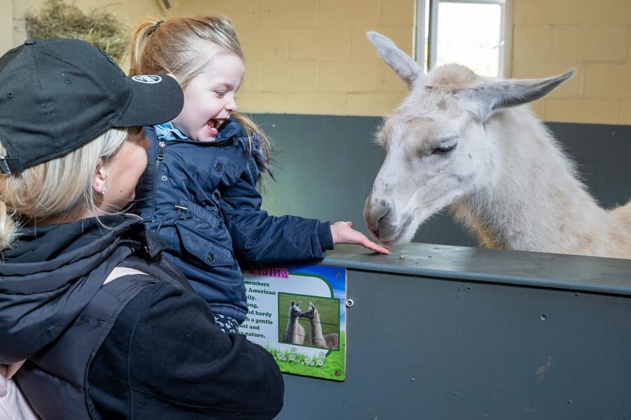 Durham: Adventure Valley Farm Park Entry Ticket - Six play zones with enough room to burn energy