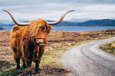 3-Day Isle of Skye, Highlands, and Loch Ness Tour