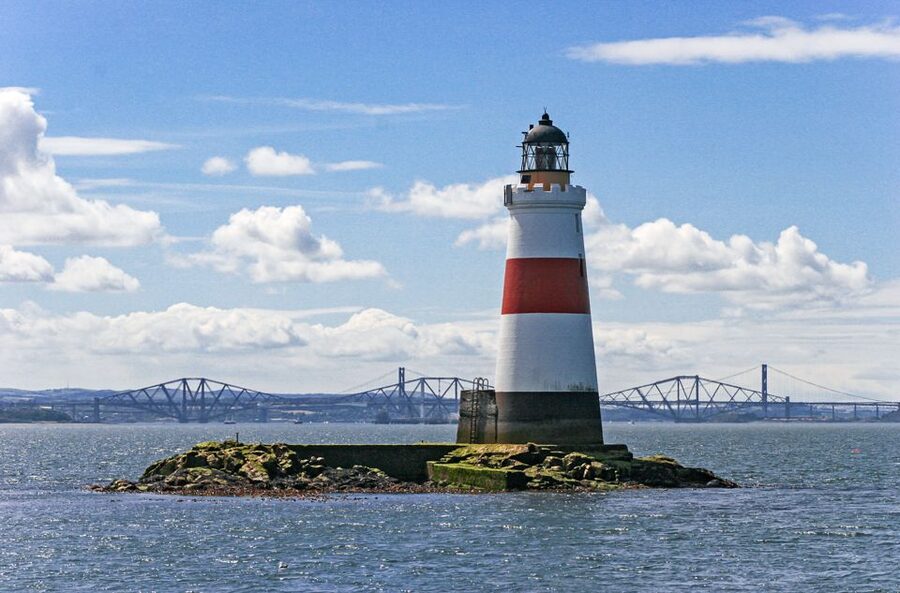Edinburgh: 'Firth of Forth' Three Bridges Sightseeing Cruise - Wildlife spotting on the Firth of Forth