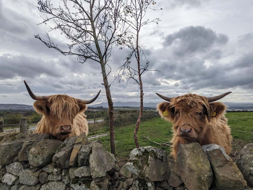 Edinburgh: Harry Potter, Glenfinnan Viaduct & Highland Tour - Loch Lomond begins the morning