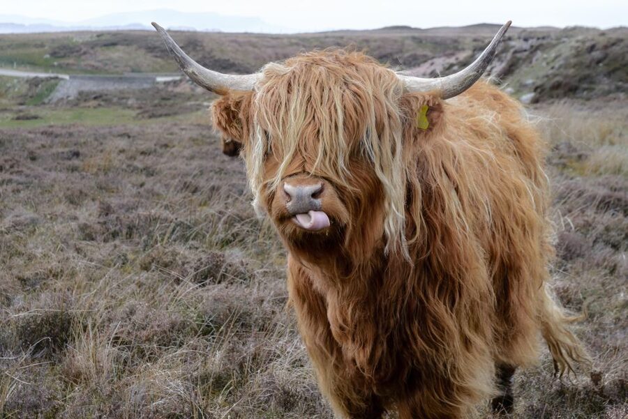 Edinburgh: Hill & Nature Hike With a Local - Key points at a glance